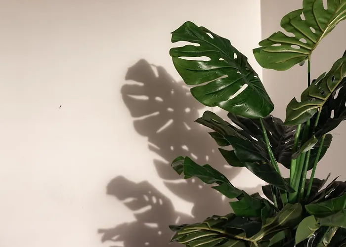 Nuevo Y Luminoso En Plaza Moyua *